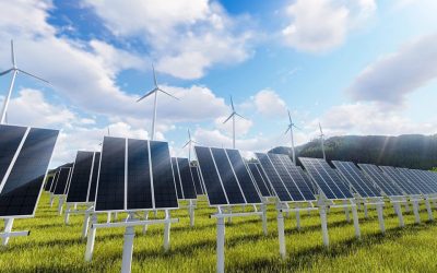 Wind energy vs. Solar power – which renewable energy source is right for you?