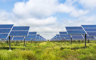 Beyond Energy: How Solar Farms Are Becoming Unexpected Allies for Agriculture and Nature