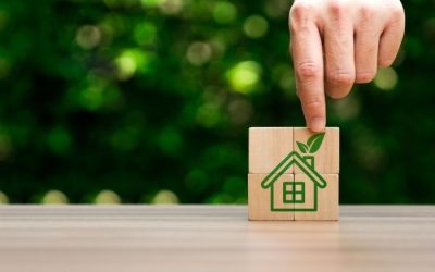 Planning for Solar: What to Consider in the New Year